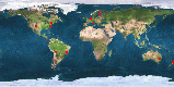(world map)