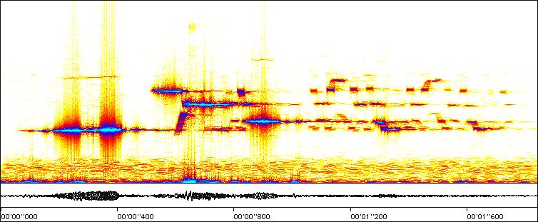 sonogram of Hermit Thrush song; buttons below image play this song.