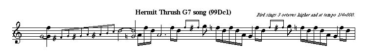 transcription of Hermit Thrush song; buttons above image play this music